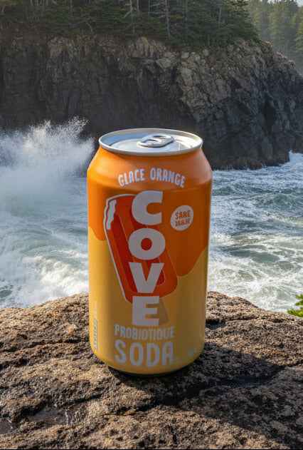 Cove Orange Cream Soda – Creamy Citrus Prebiotic Sparkling Drink