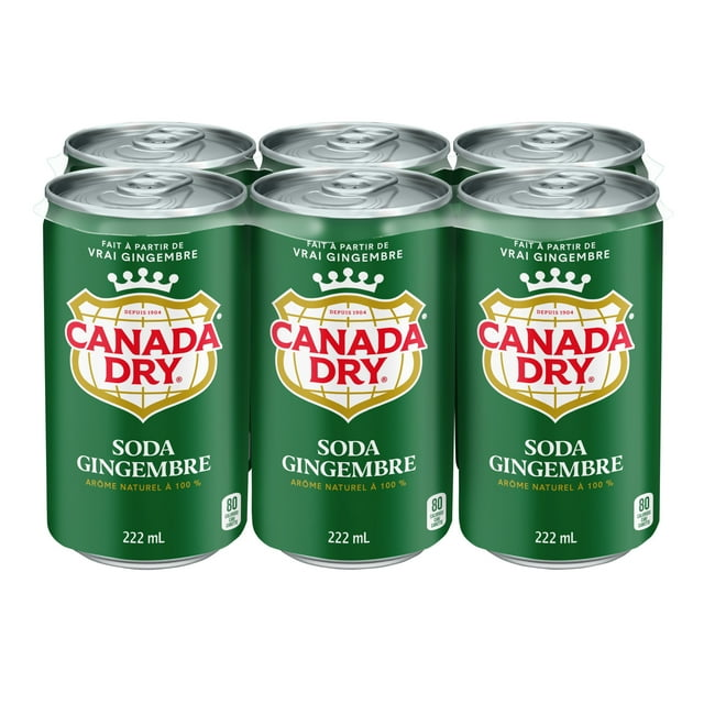 Canada Dry® Ginger Ale 222 mL Mini-Cans, 6 Pack