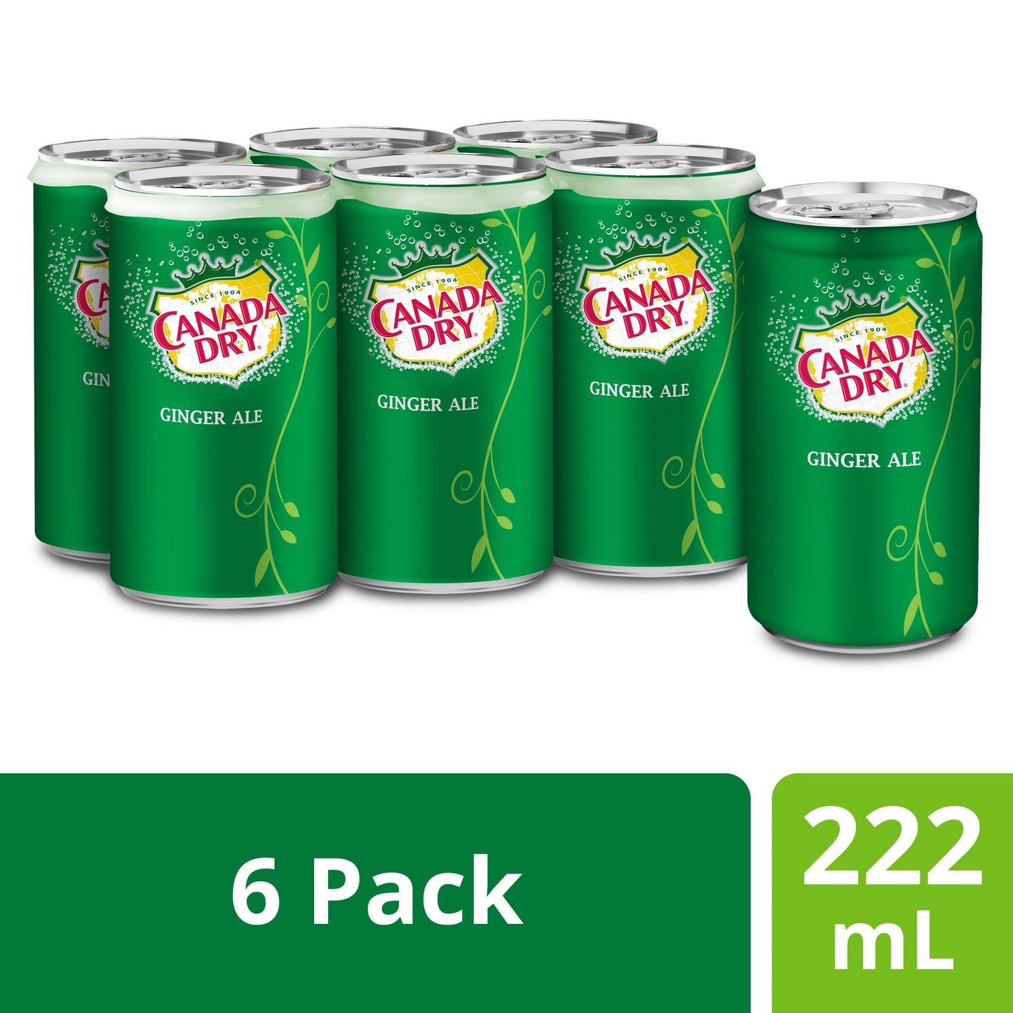 Canada Dry® Ginger Ale 222 mL Mini-Cans, 6 Pack